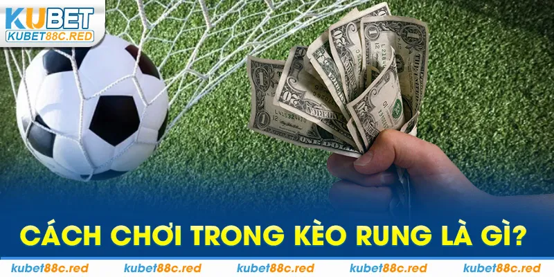 Kèo Rung Là Gì: Định Nghĩa Và Cách Đặt Cược Hiệu Quả
