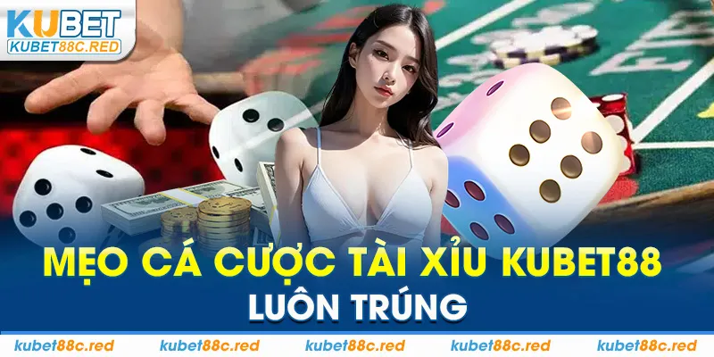 Tài Xỉu Kubet: Giải Trí Đỉnh Cao, Tỷ Lệ Trả Thưởng Hấp Dẫn