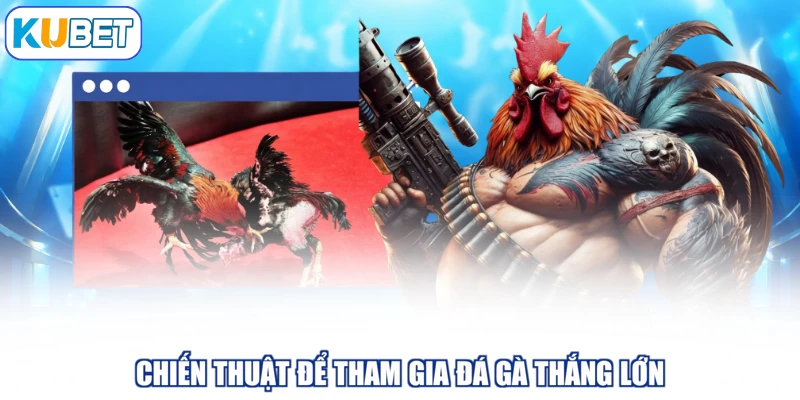 Chiến thuật để tham gia đá gà thắng lớn