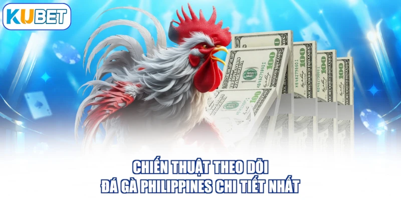Chiến thuật theo dõi đá gà philippines chi tiết nhất