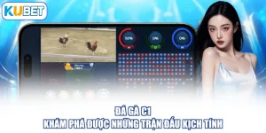 Đá gà C1 - Khám Phá Được Những Trận Đấu Kịch Tính