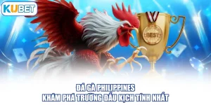Đá Gà Philippines - Khám Phá Trường Đấu Kịch Tính Nhất
