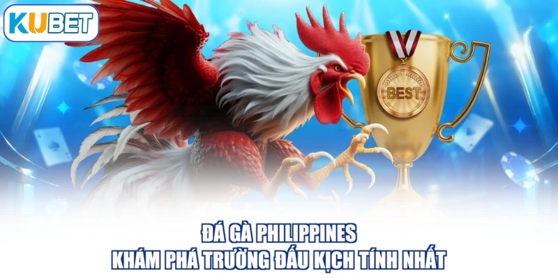 Đá Gà Philippines - Khám Phá Trường Đấu Kịch Tính Nhất